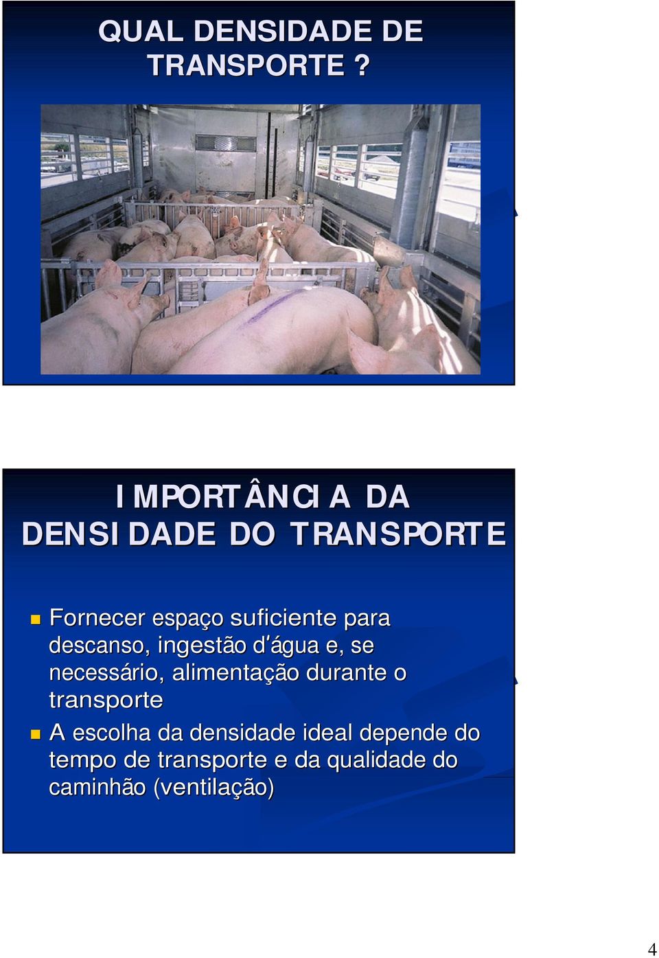 descanso, ingestão d água e, se necessário, alimentação o durante o