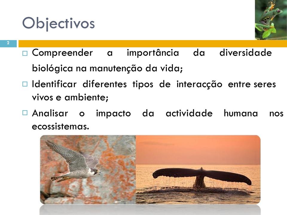 diferentes tipos de interacção entre seres vivos e