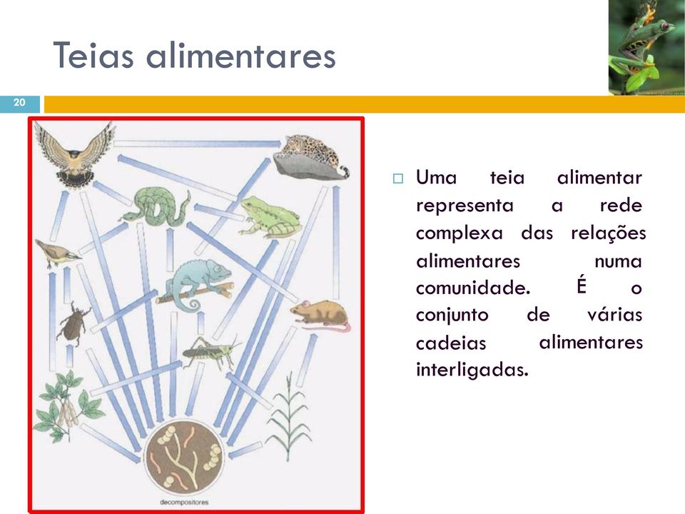 alimentares comunidade.