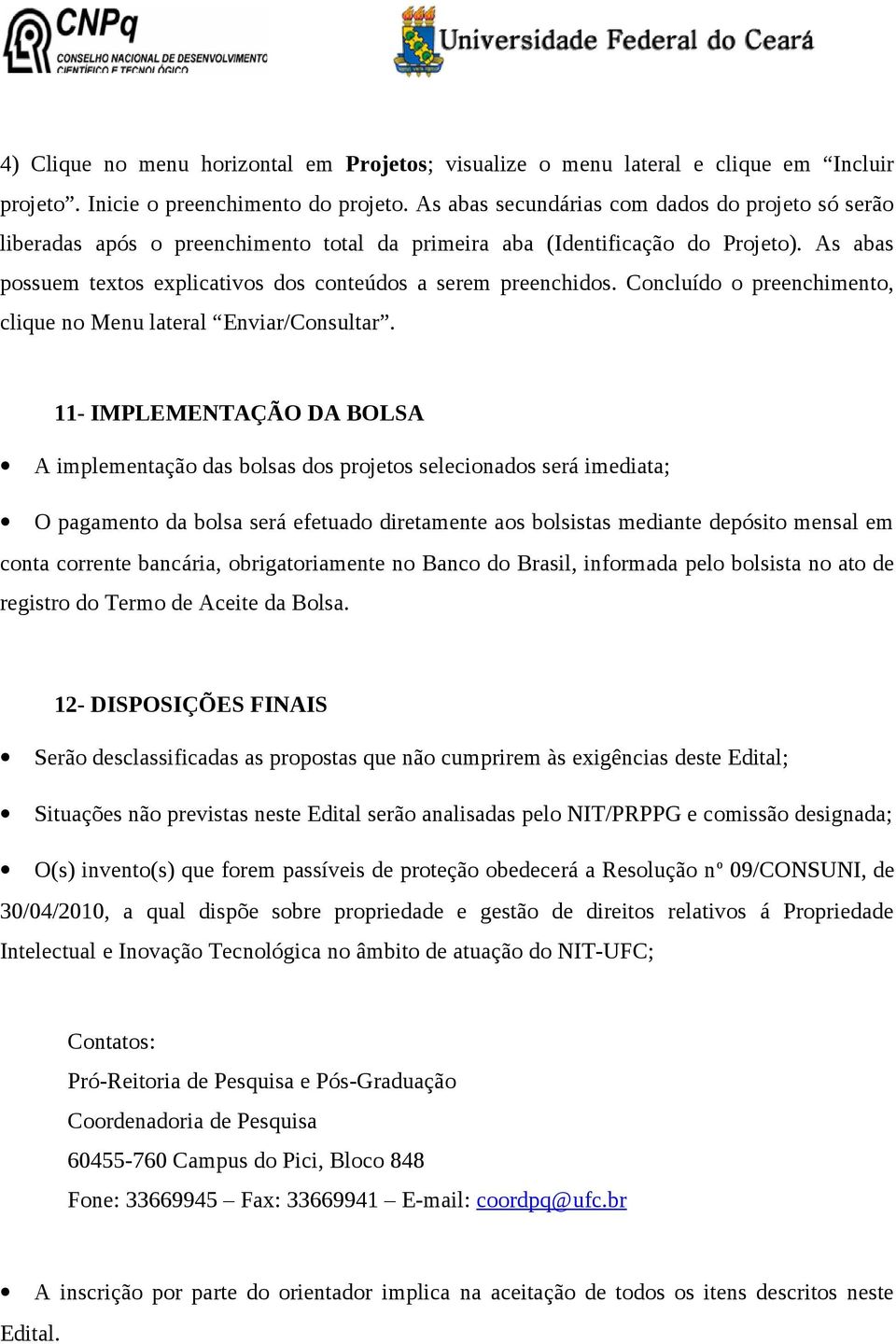 As abas possuem textos explicativos dos conteúdos a serem preenchidos. Concluído o preenchimento, clique no Menu lateral Enviar/Consultar.