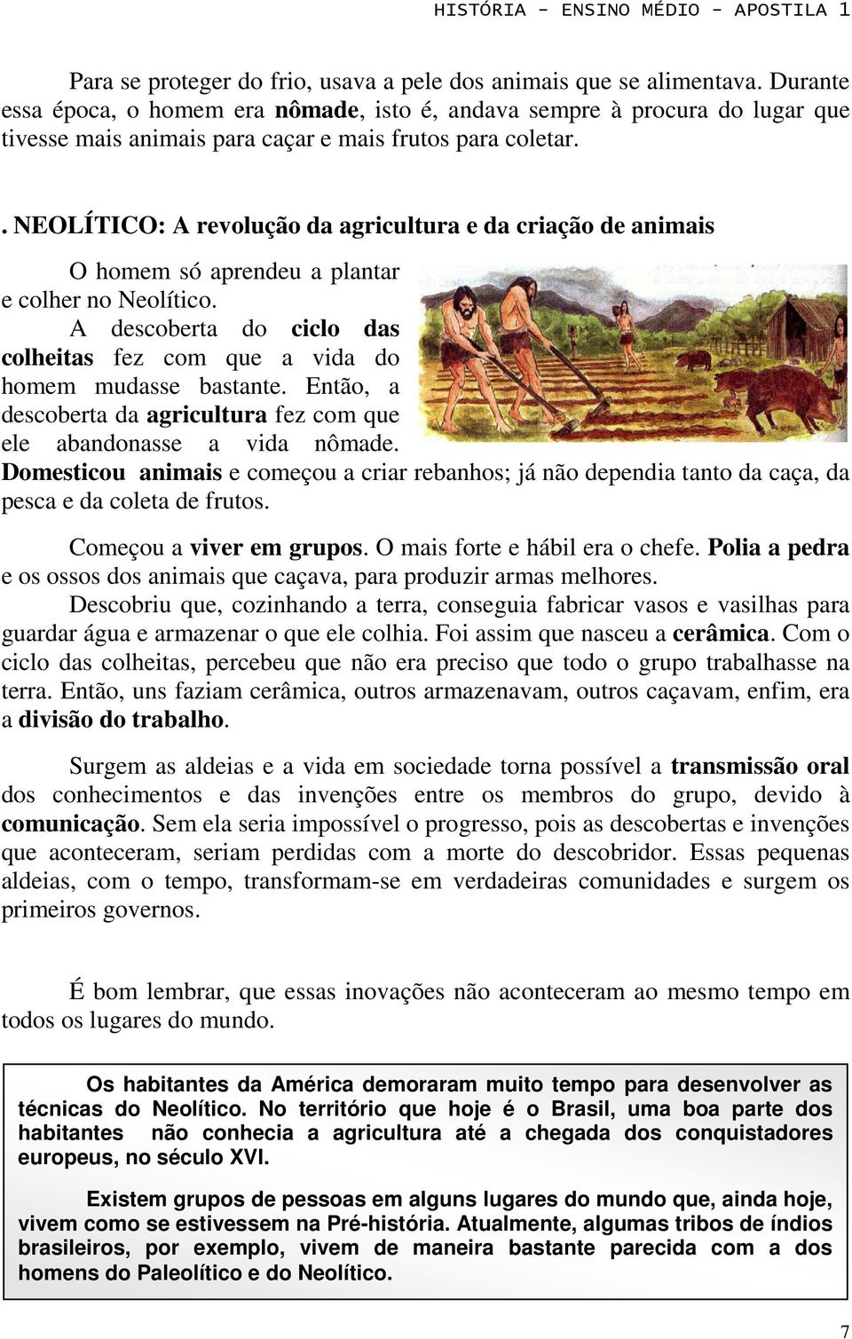 . NEOLÍTICO: A revolução da agricultura e da criação de animais O homem só aprendeu a plantar e colher no Neolítico. A descoberta do ciclo das colheitas fez com que a vida do homem mudasse bastante.