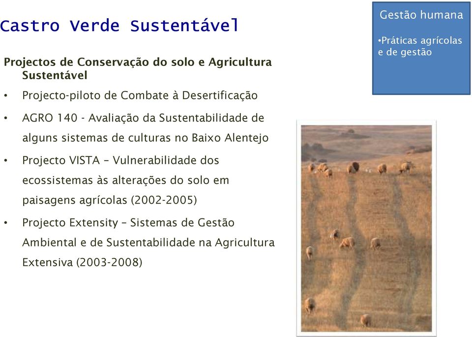 sistemas de culturas no Baixo Alentejo Projecto VISTA Vulnerabilidade dos ecossistemas às alterações do solo em