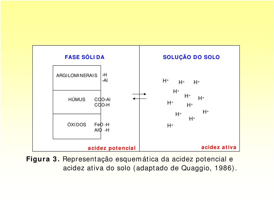 H + acidez potencial acidez ativa Figura 3.