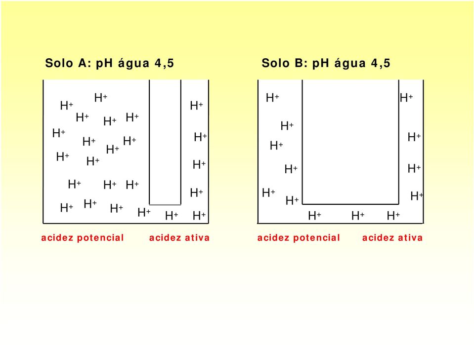 H + H + H + H + H + H + H + H + H + H + H + H + H + acidez