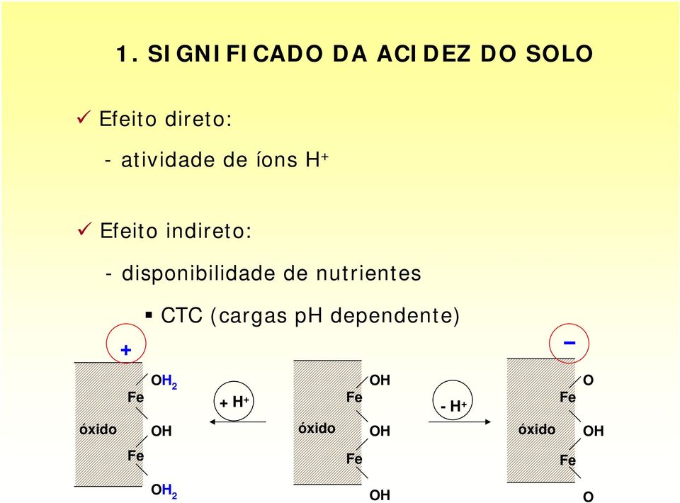 de nutrientes CTC (cargas ph dependente) + Fe OH 2 OH +