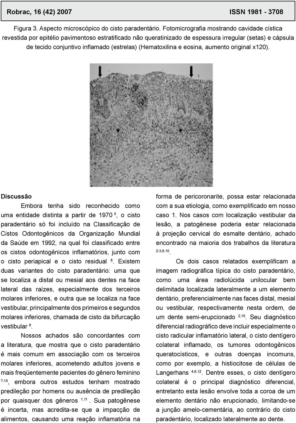 (Hematoxilina e eosina, aumento original x120).