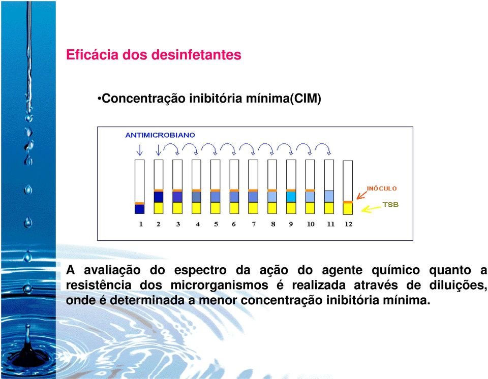 quanto a resistência dos microrganismos é realizada através