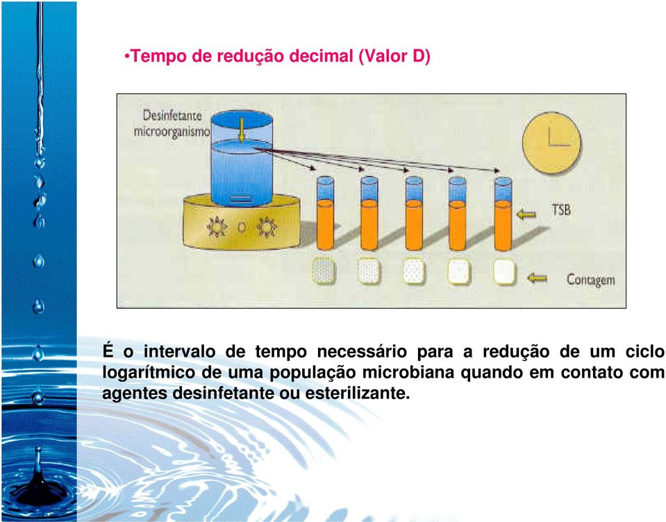 logarítmico de uma população microbiana quando