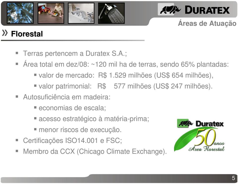 ; Área total em dez/08: ~120 mil ha de terras, sendo 65% plantadas: valor de mercado: R$ 1.