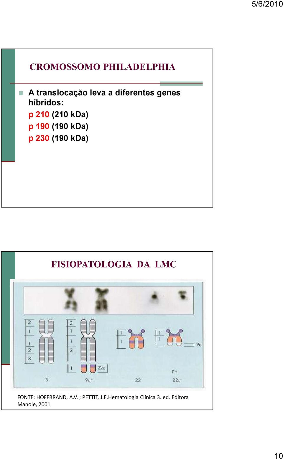 (190 kda) FISIOPATOLOGIA DA LMC FONTE: HOFFBRAND, A.V.