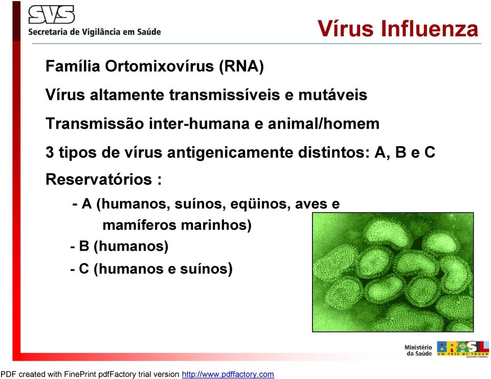 tipos de vírus antigenicamente distintos: A, B e C Reservatórios : - A