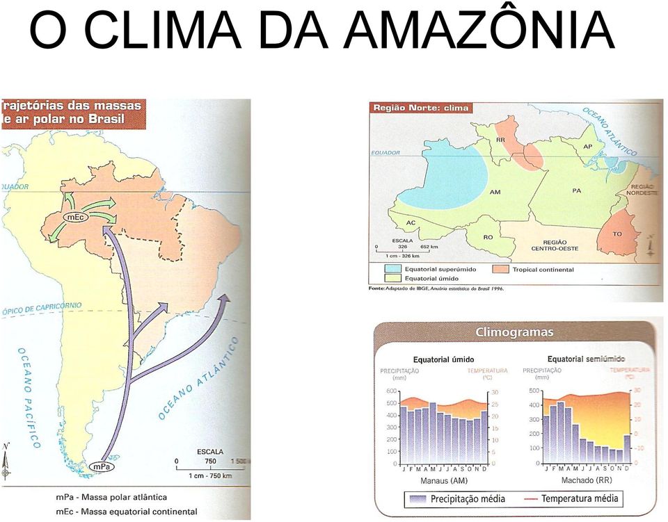 AMAZÔNIA