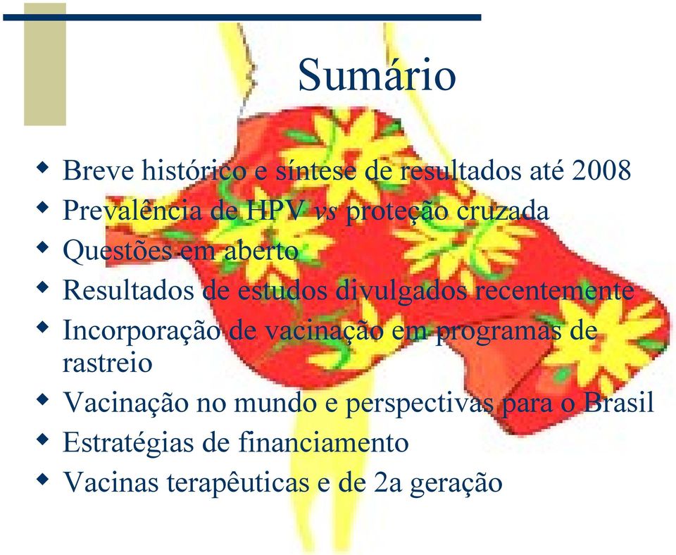 Incorporação de vacinação em programas de rastreio Vacinação no mundo e