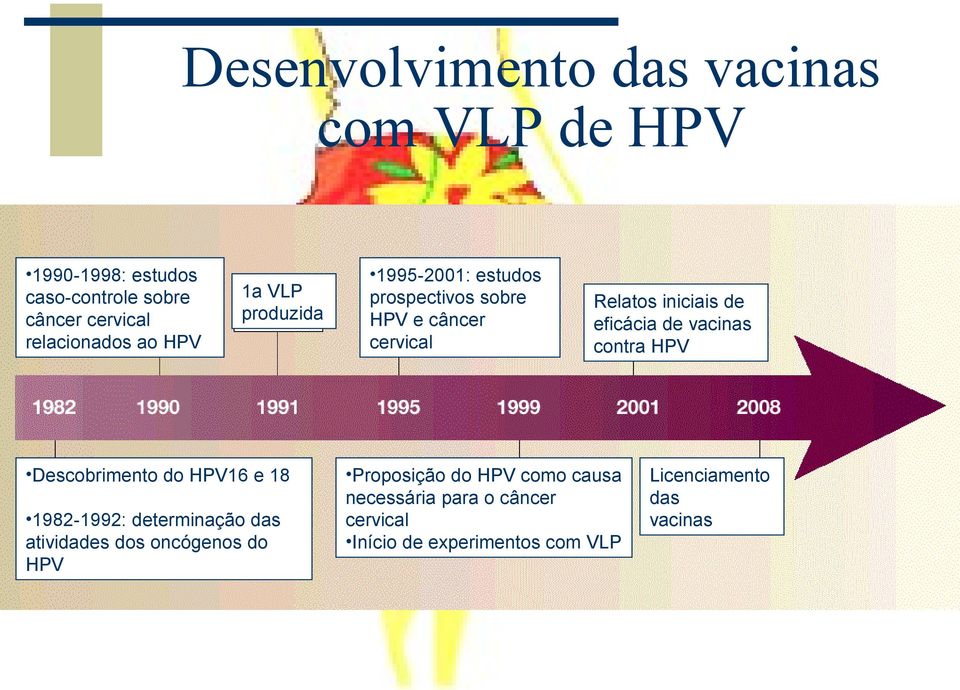 1995-2001: estudos prospectivos sobre HPV e câncer cervical Relatos iniciais de eficácia de vacinas contra HPV