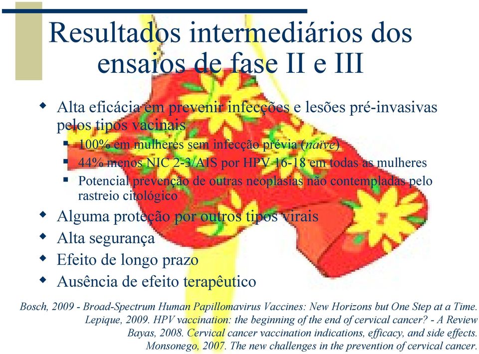 de longo prazo Ausência de efeito terapêutico Bosch, 2009 - Broad-Spectrum Human Papillomavirus Vaccines: New Horizons but One Step at a Time. Lepique, 2009.