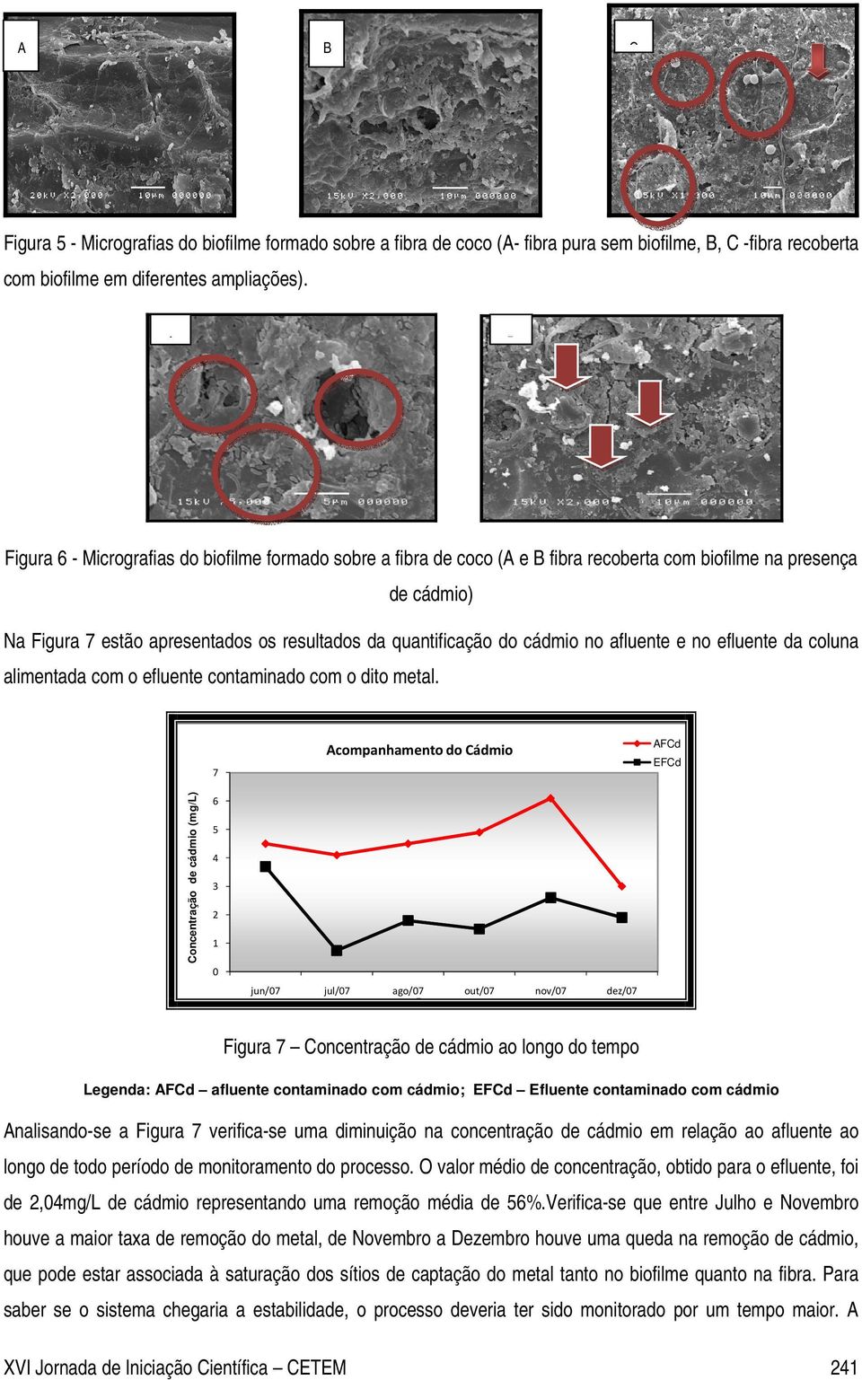 cádmio no afluente e no efluente da coluna alimentada com o efluente contaminado com o dito metal.