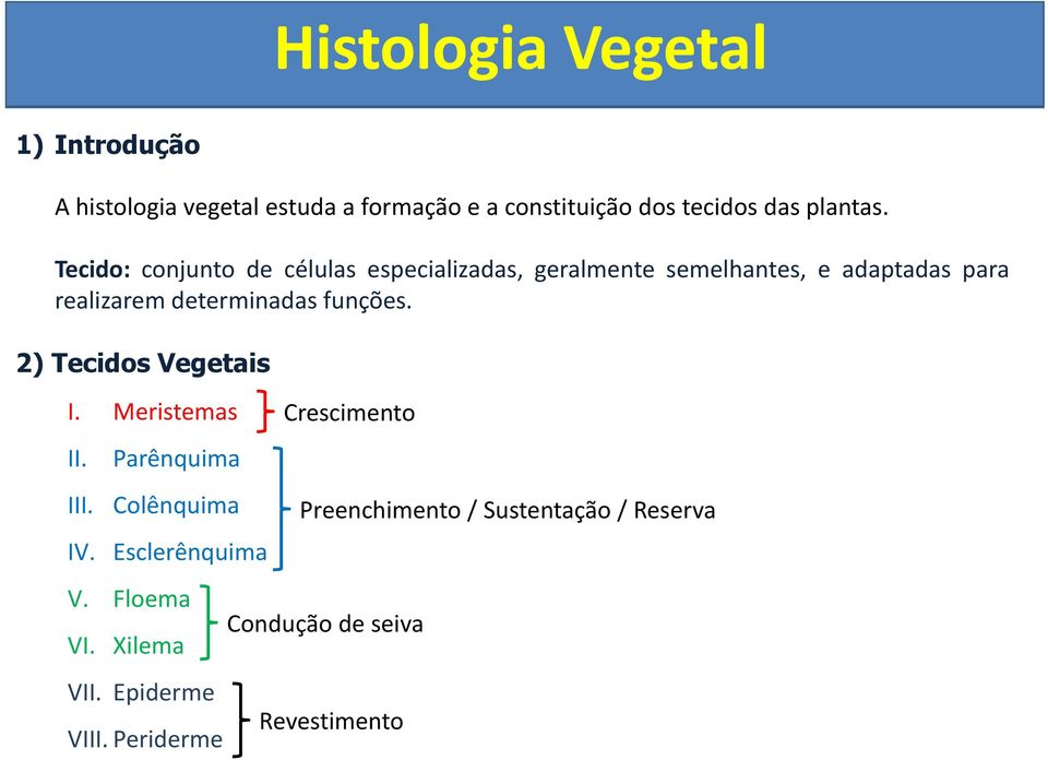determinadas funções. 2) Tecids Vegetais I. Meristemas II. Parênquima III. Clênquima IV.