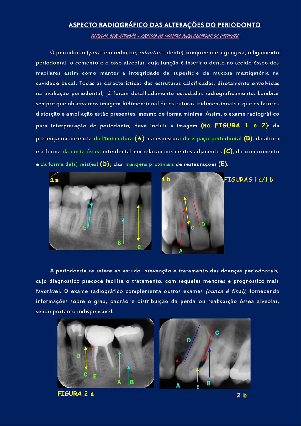 Todas as características das estruturas calcificadas, diretamente envolvidas na avaliação periodontal, já foram detalhadamente estudadas radiograficamente.