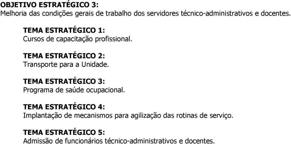 TEMA ESTRATÉGICO 2: Transporte para a Unidade. TEMA ESTRATÉGICO 3: Programa de saúde ocupacional.