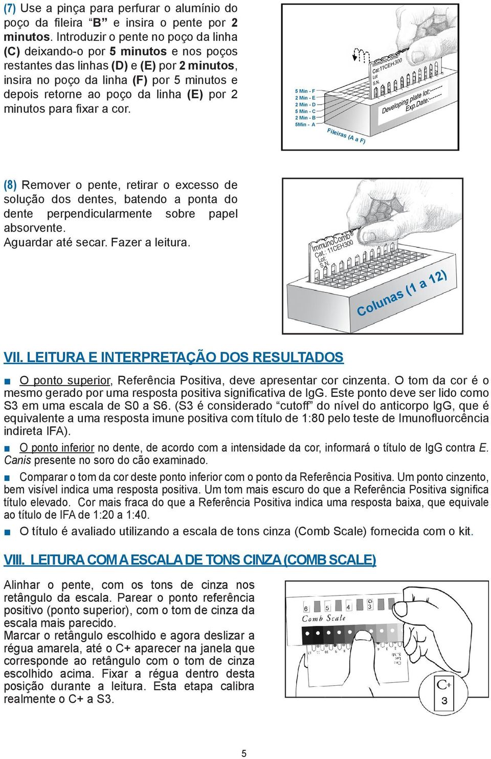 (E) por 2 minutos para fixar a cor.