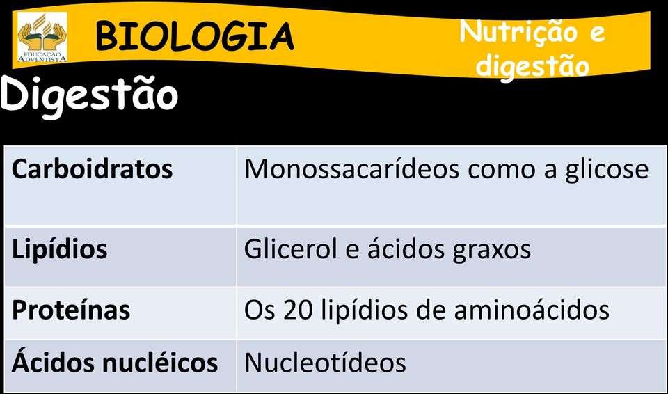 Glicerol e ácidos graxos Proteínas