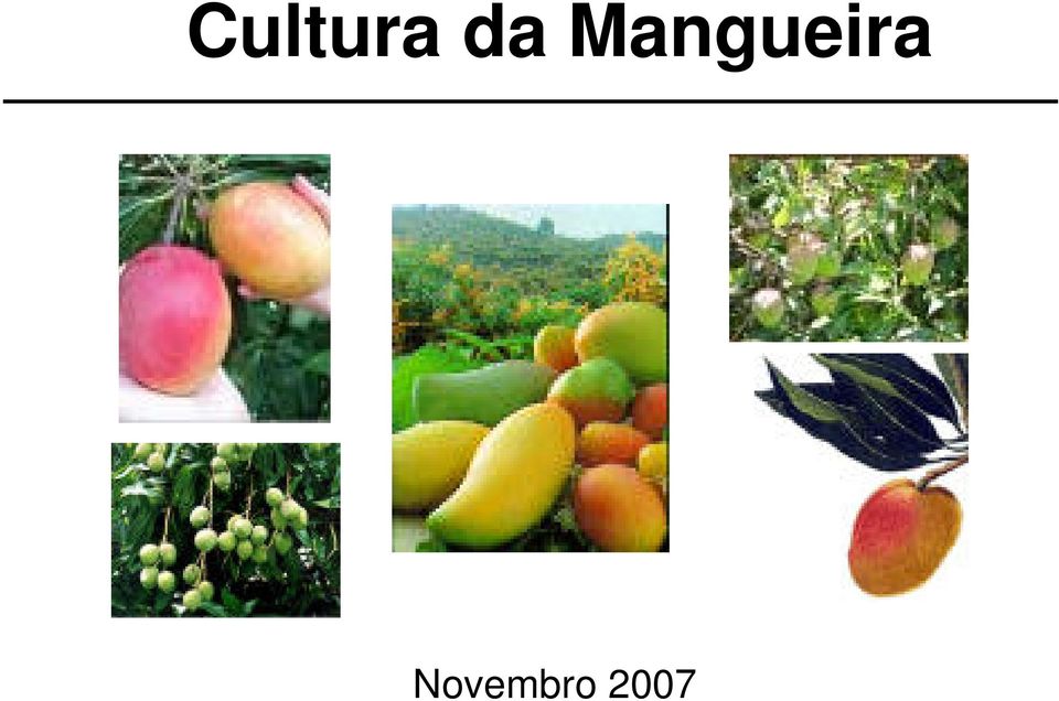 Mangueira