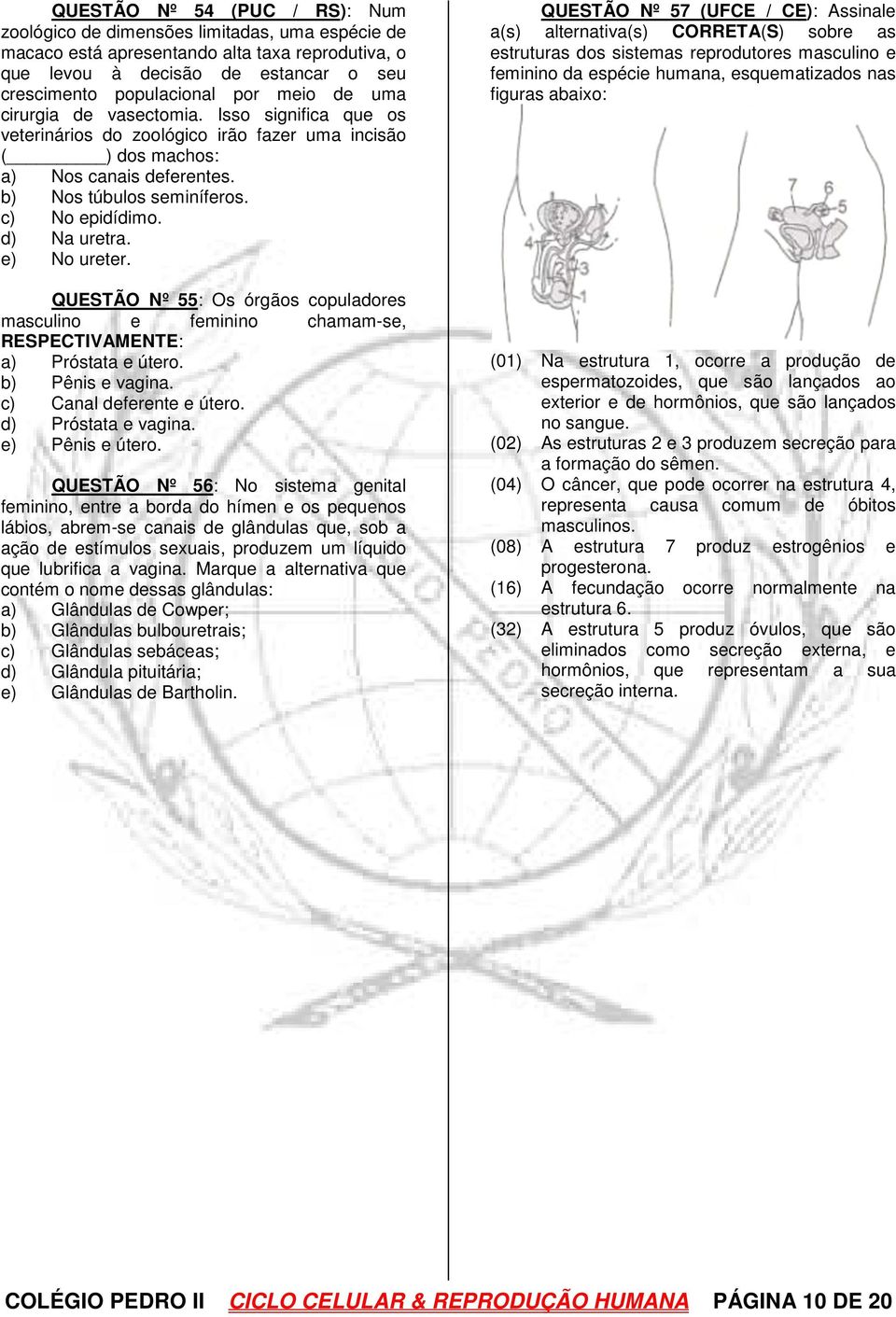 d) Na uretra. e) No ureter. QUESTÃO Nº 55: Os órgãos copuladores masculino e feminino chamam-se, RESPECTIVAMENTE: a) Próstata e útero. b) Pênis e vagina. c) Canal deferente e útero.