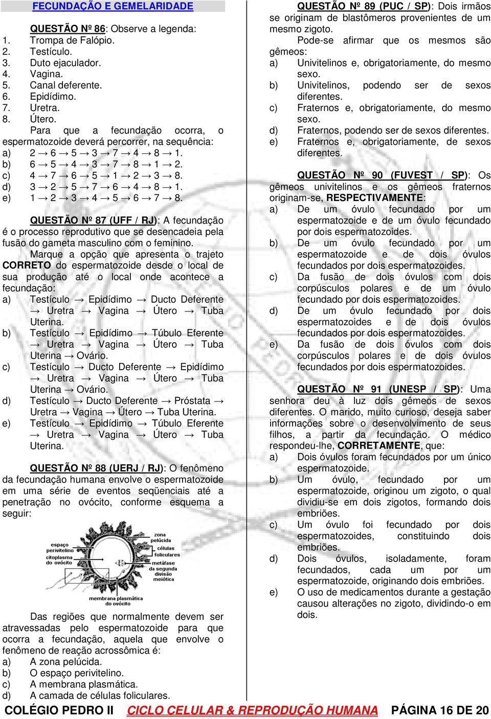 QUESTÃO Nº 87 (UFF / RJ): A fecundação é o processo reprodutivo que se desencadeia pela fusão do gameta masculino com o feminino.