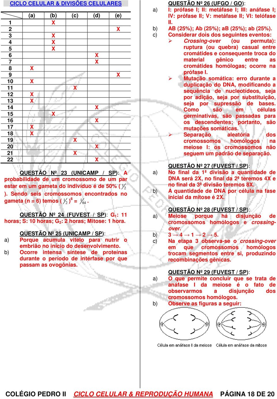 QUESTÃO Nº 24 (FUVEST / SP): G 1 : 11 horas; S: 10 horas; G 2 : 2 horas; Mitose: 1 hora. QUESTÃO Nº 25 (UNICAMP / SP): a) Porque acumula vitelo para nutrir o embrião no início do desenvolvimento.