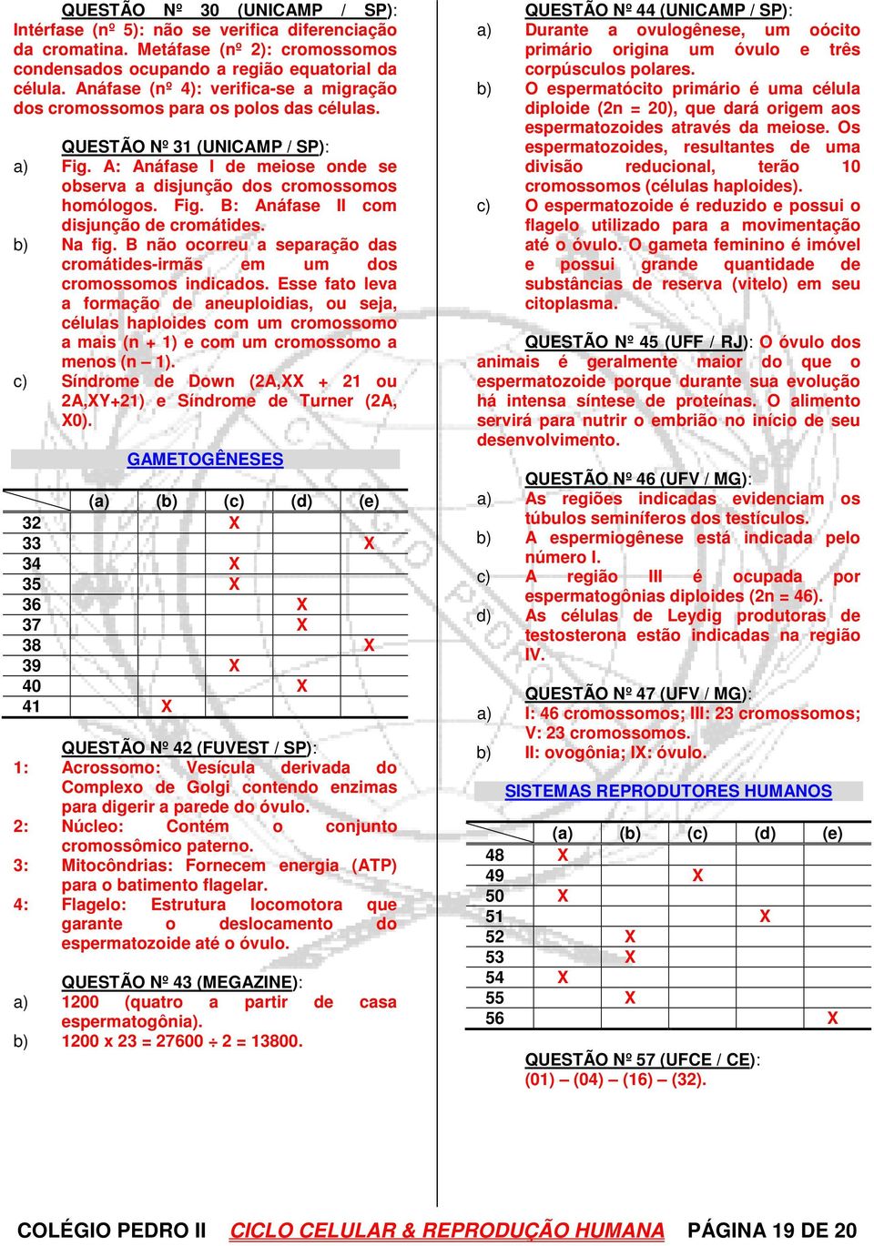 Fig. B: Anáfase II com disjunção de cromátides. b) Na fig. B não ocorreu a separação das cromátides-irmãs em um dos cromossomos indicados.