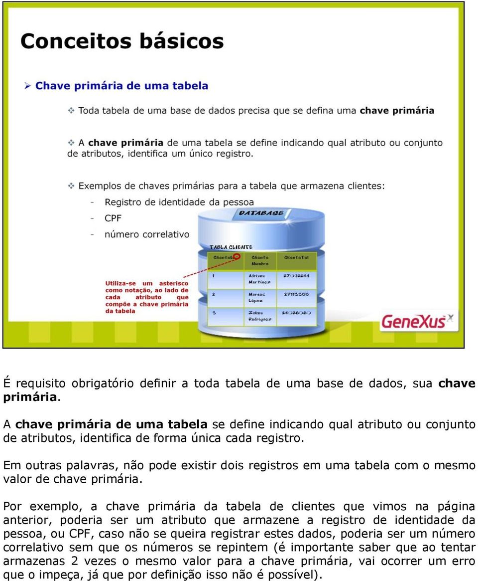 Em outras palavras, não pode existir dois registros em uma tabela com o mesmo valor de chave primária.