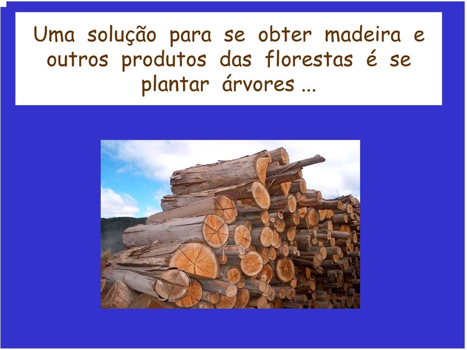 produtos das florestas