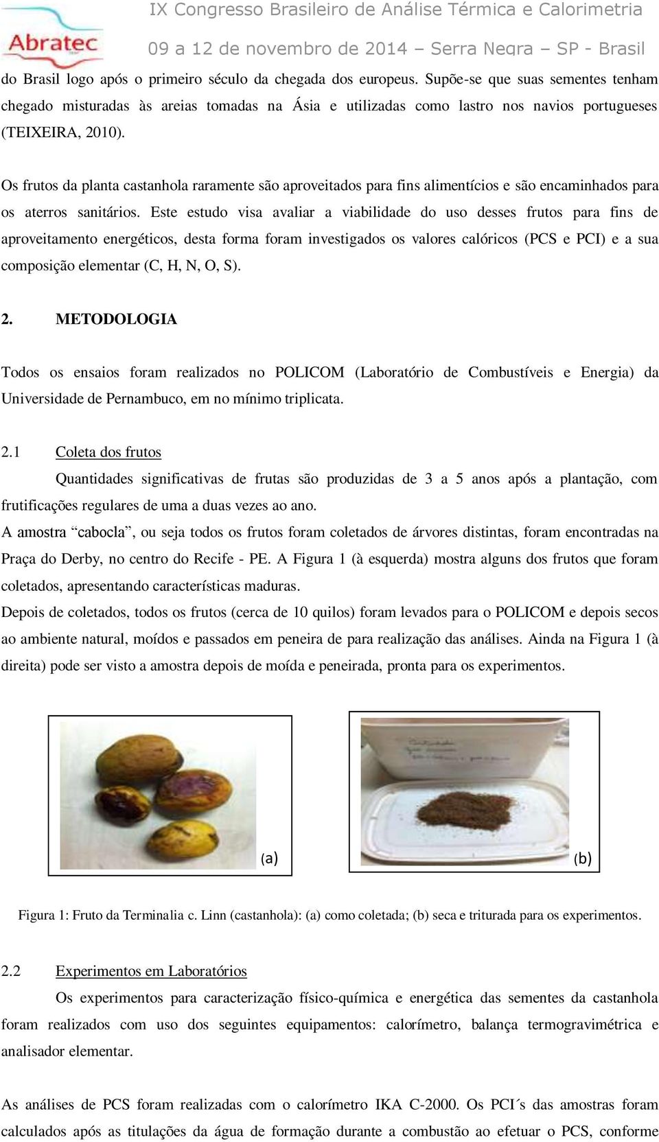 Os frutos da planta castanhola raramente são aproveitados para fins alimentícios e são encaminhados para os aterros sanitários.