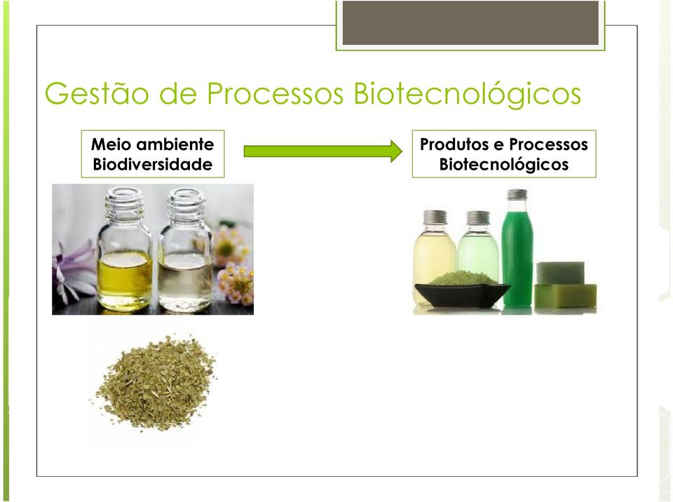 ambiente Biodiversidade