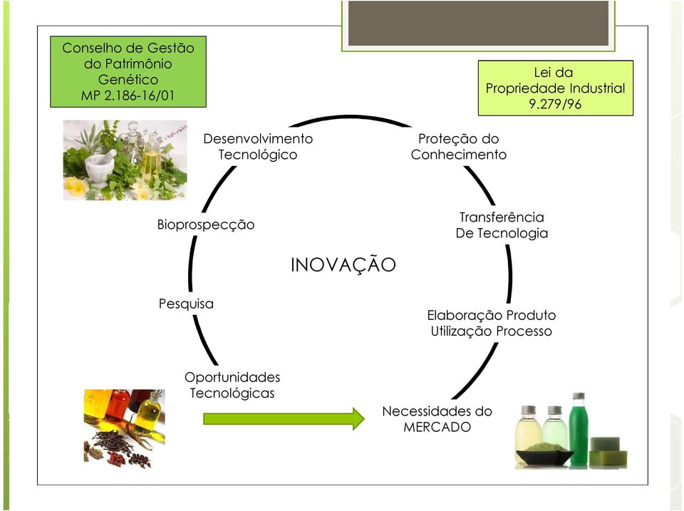 279/96 Desenvolvimento Tecnológico Proteção do Conhecimento Bioprospecção