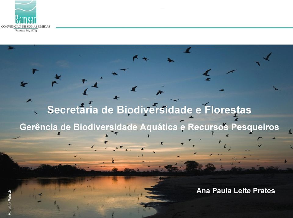 Biodiversidade Aquática e Recursos