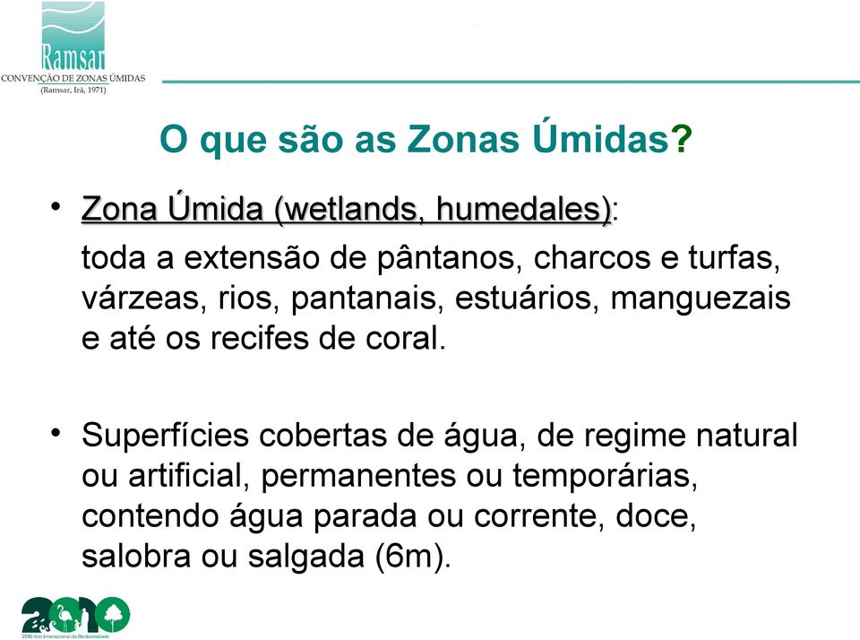 várzeas, rios, pantanais, estuários, manguezais e até os recifes de coral.