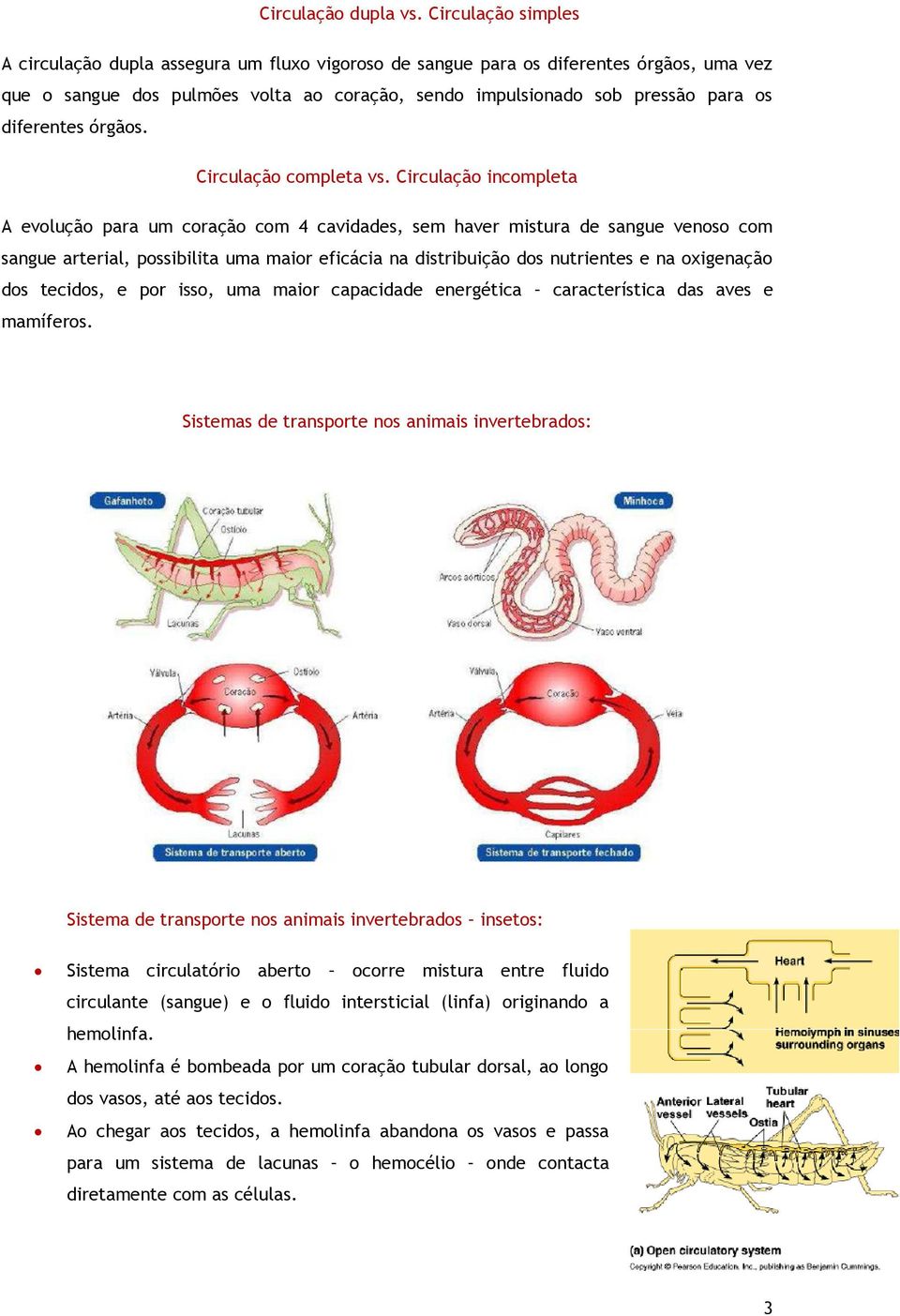 diferentes órgãos. Circulação completa vs.