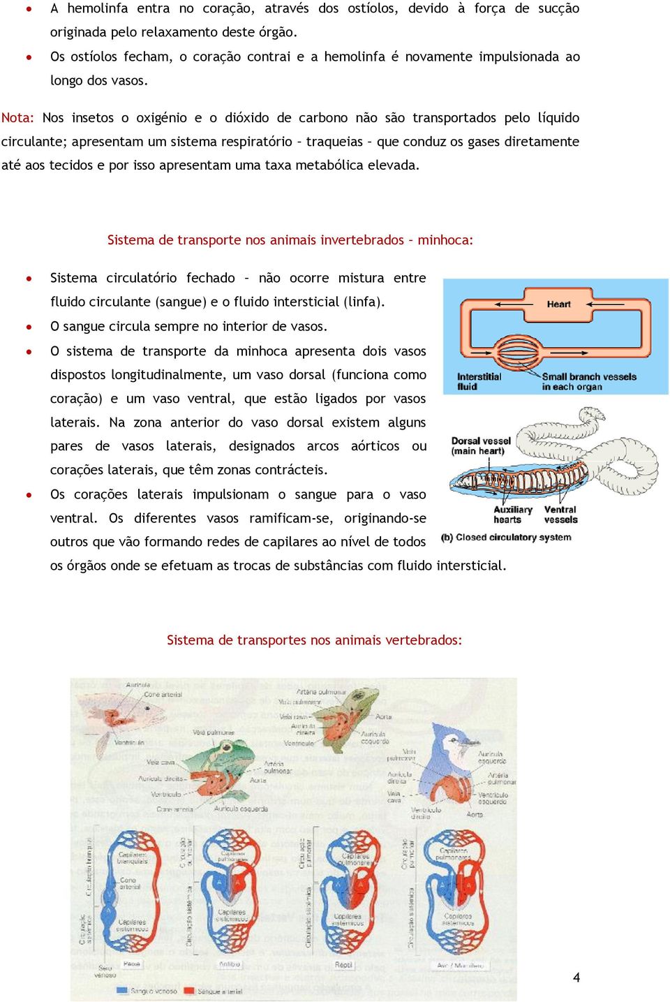 Nota: Nos insetos o oxigénio e o dióxido de carbono não são transportados pelo líquido circulante; apresentam um sistema respiratório traqueias que conduz os gases diretamente até aos tecidos e por