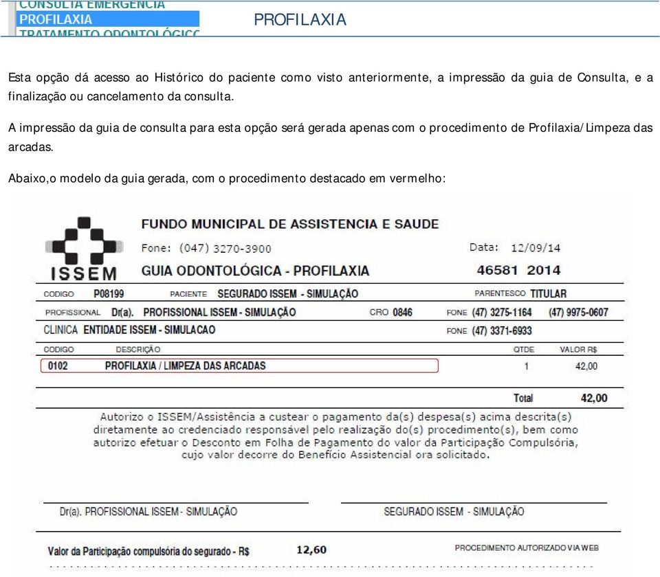 A impressão da guia de consulta para esta opção será gerada apenas com o procedimento de