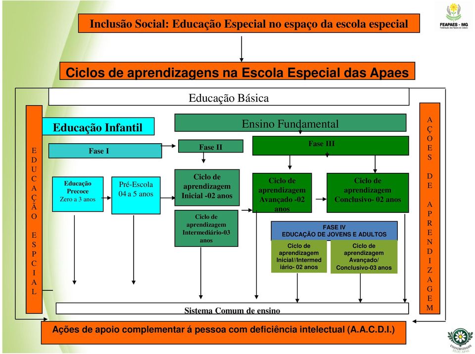 Ensino Fundamental Ciclo de aprendizagem Avançado -02 anos Fase III Ciclo de aprendizagem Conclusivo- 02 anos FASE IV EDUCAÇÃO DE JOVENS E ADULTOS Ciclo de aprendizagem