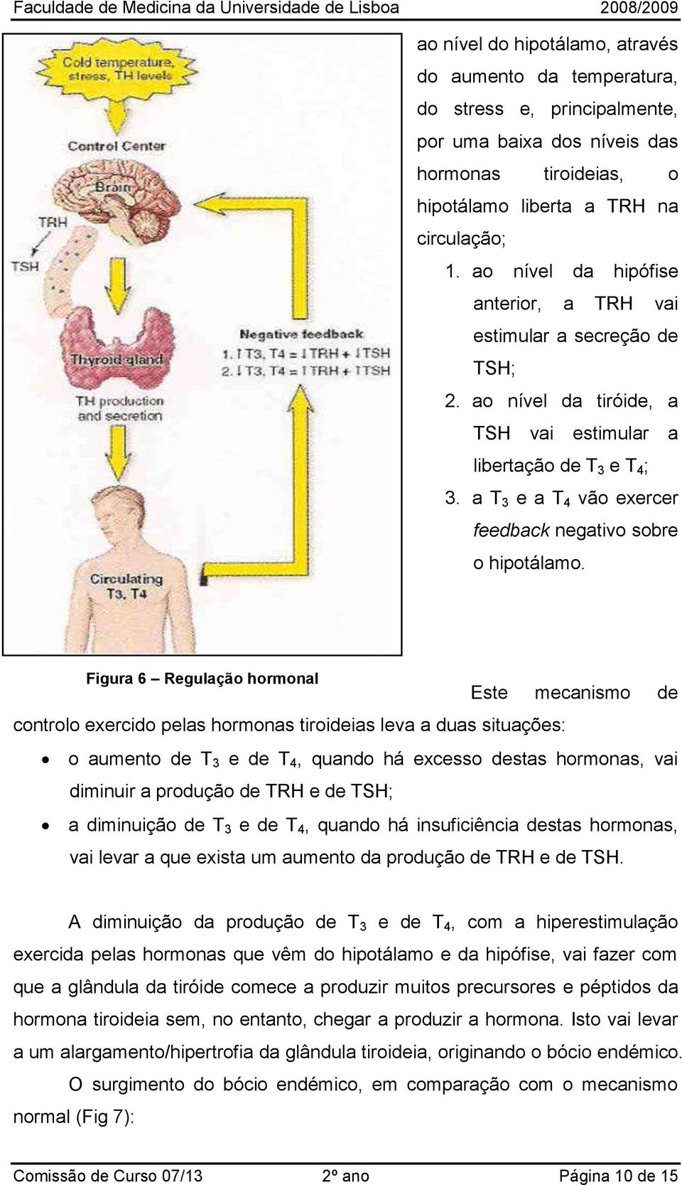 a T 3 e a T 4 vão exercer feedback negativo sobre o hipotálamo.