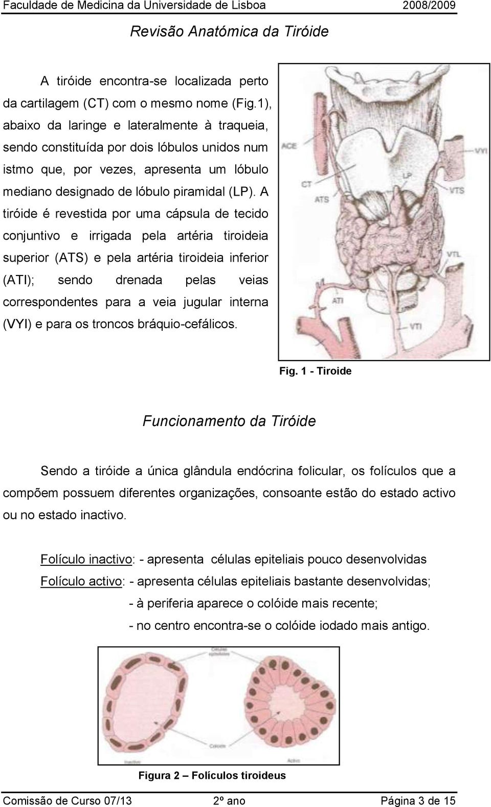 A tiróide é revestida por uma cápsula de tecido conjuntivo e irrigada pela artéria tiroideia superior (ATS) e pela artéria tiroideia inferior (ATI); sendo drenada pelas veias correspondentes para a