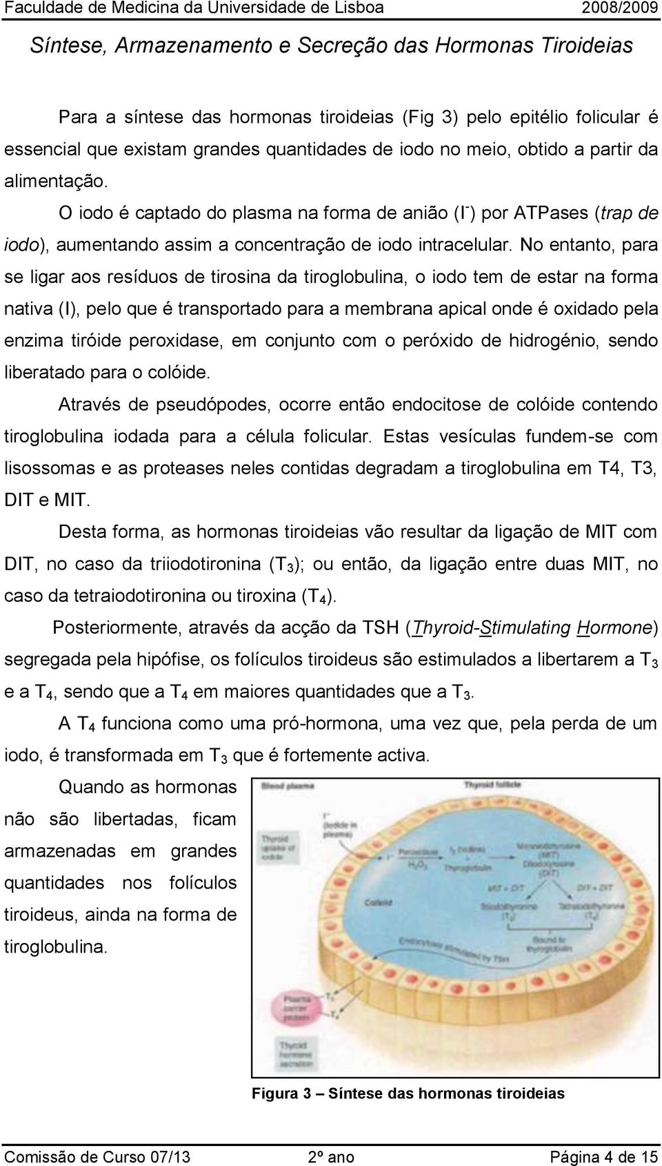 No entanto, para se ligar aos resíduos de tirosina da tiroglobulina, o iodo tem de estar na forma nativa (I), pelo que é transportado para a membrana apical onde é oxidado pela enzima tiróide