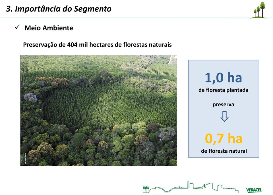 hectares de florestas naturais 1,0 ha