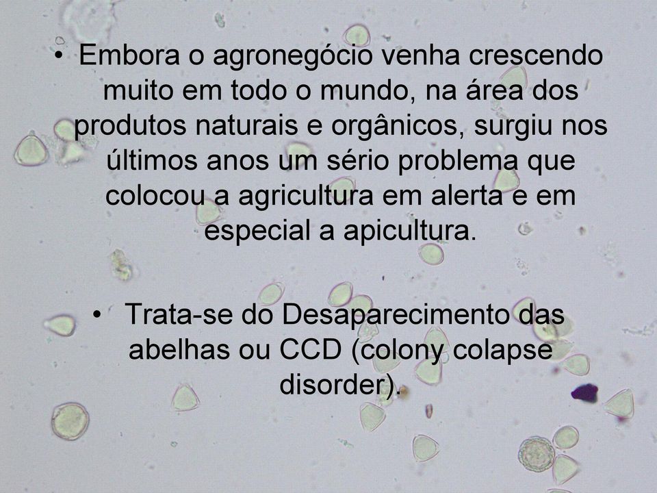 problema que colocou a agricultura em alerta e em especial a