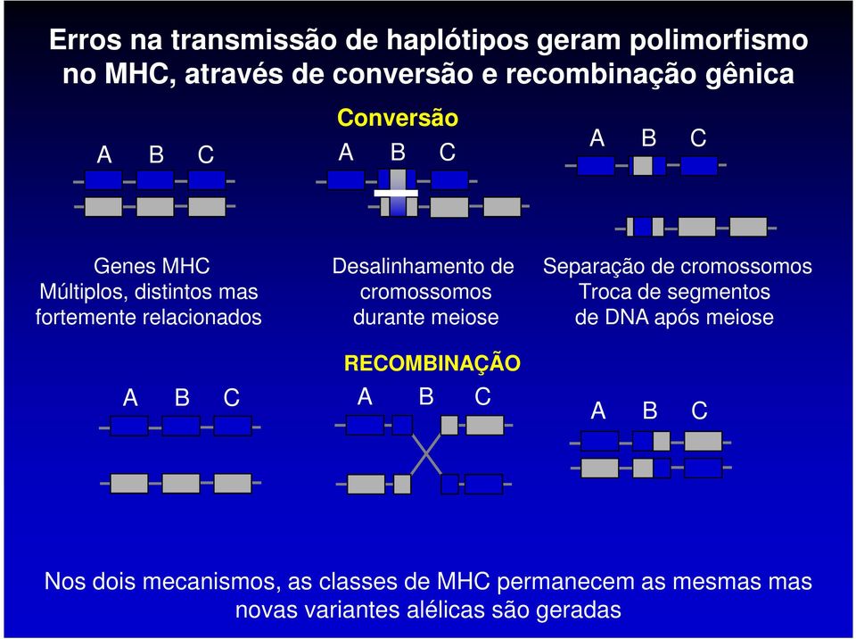 cromossomos Troca de segmentos fortemente relacionados durante meiose de DNA após meiose A B C RECOMBINAÇÃO