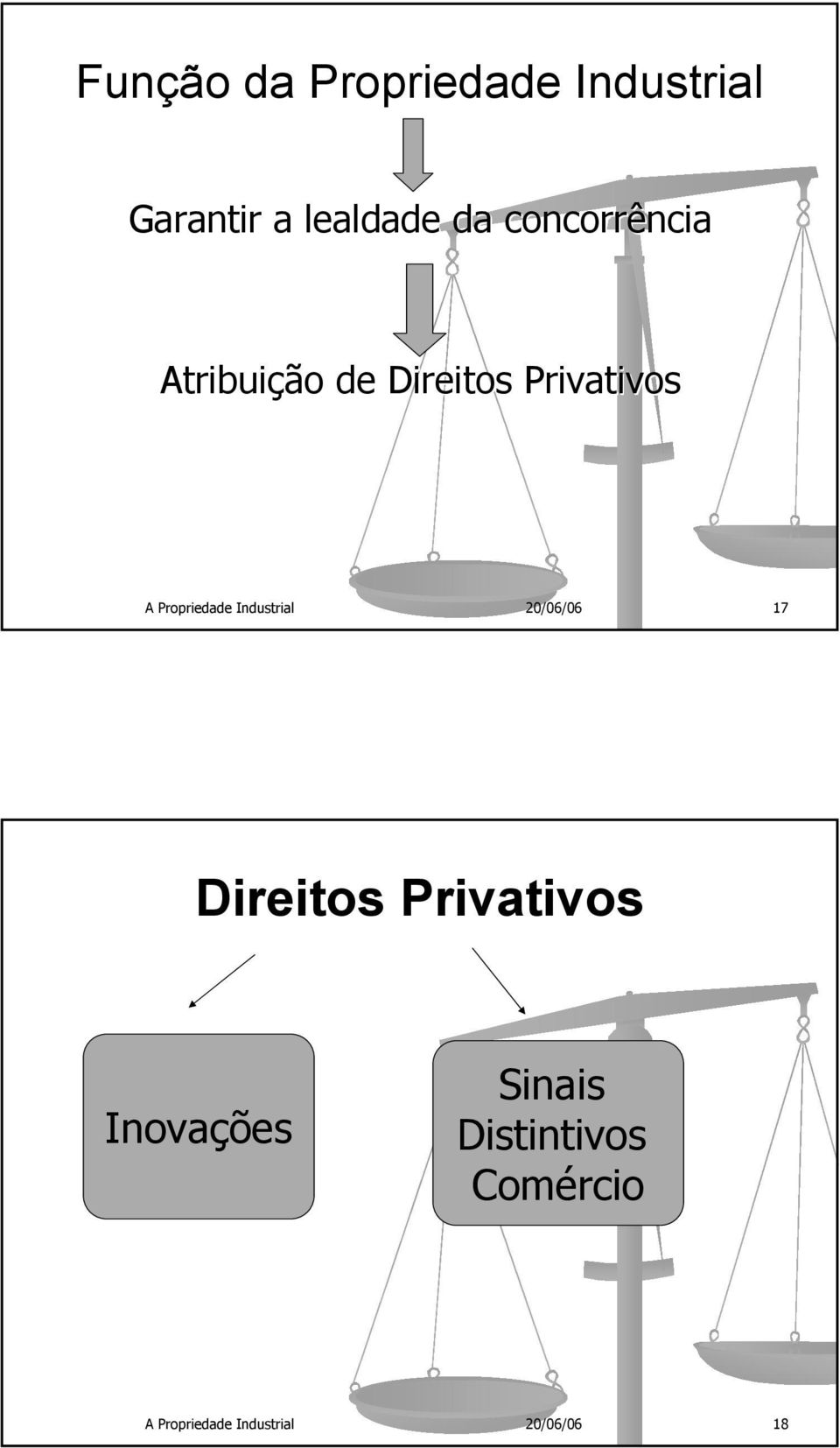 Propriedade Industrial 20/06/06 17 Direitos Privativos