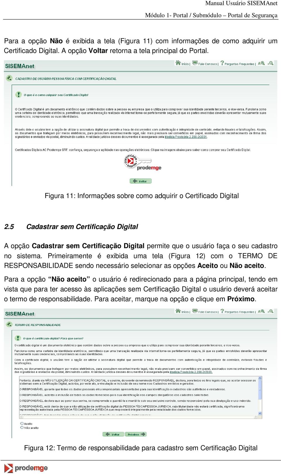 Primeiramente é exibida uma tela (Figura 12) com o TERMO DE RESPONSABILIDADE sendo necessário selecionar as opções Aceito ou Não aceito.