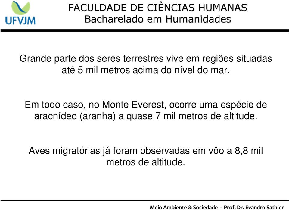 Em todo caso, no Monte Everest, ocorre uma espécie de aracnídeo